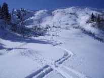 La crête formée par le col de Cenise et sur la pente duquel j'ai pu tracer un dessin avec mes skis. Cette descente est vraiment agréable...